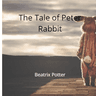 Story Cover Image
