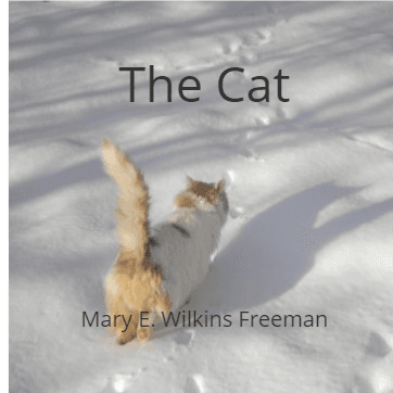 Cover for The Cat