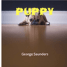 Story Cover Image
