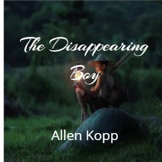 Cover for The Disappearing Boy