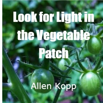 Cover for Look for Light in the Vegetable Patch