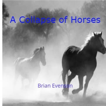 Cover for A Collapse of Horses