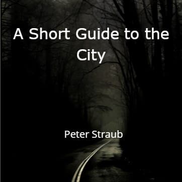 Cover for A Short Guide to the City