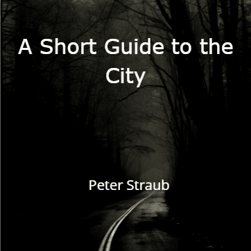 Cover for A Short Guide to the City