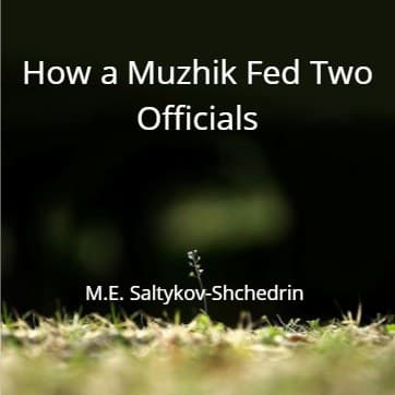 Cover for How a Muzhik Fed Two Officials