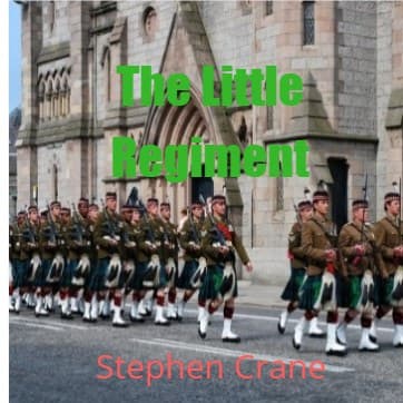 Cover for The Little Regiment