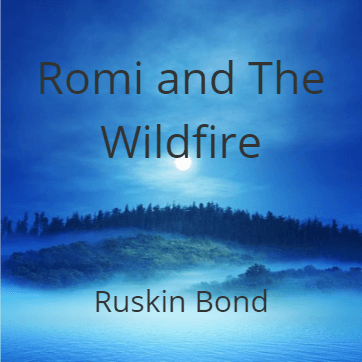 Cover for Romi and the Wildfire