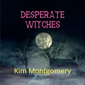 Cover for Desperate Witches