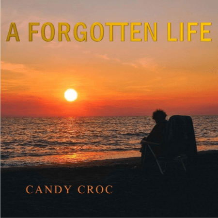 Cover for A forgotten life.