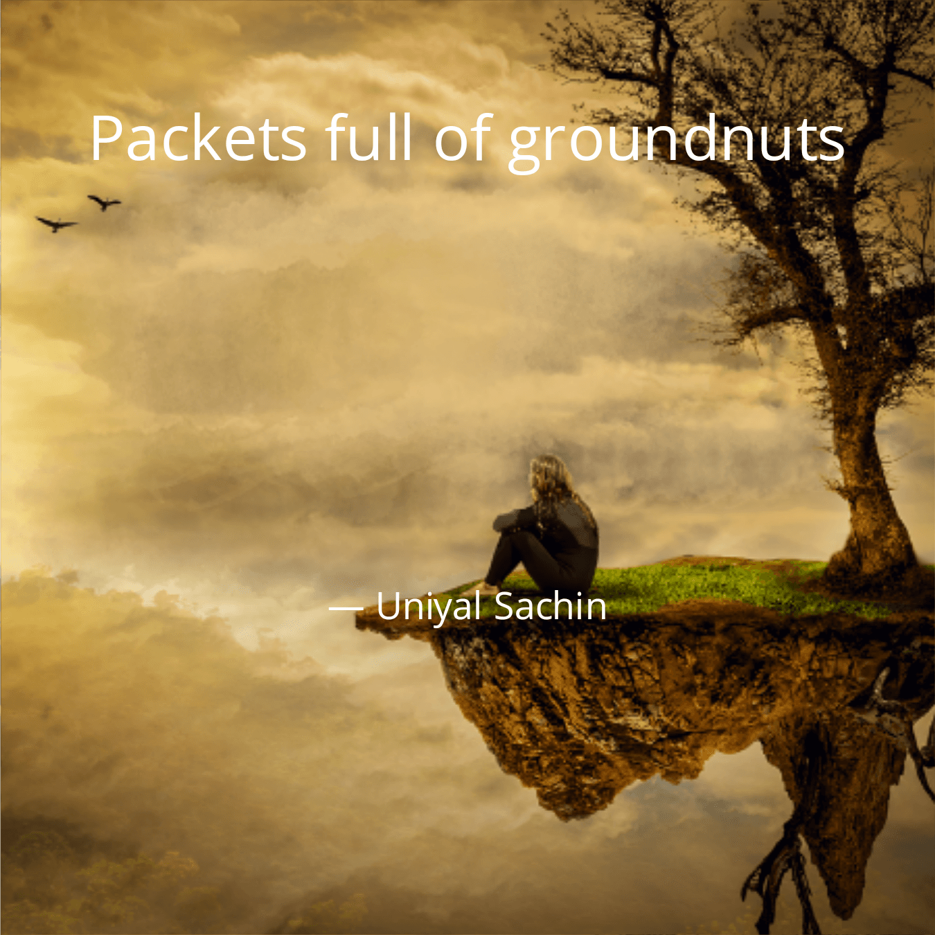 Cover for Packets full of groundnuts