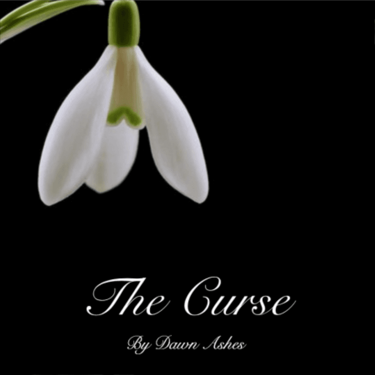 Story Cover Image
