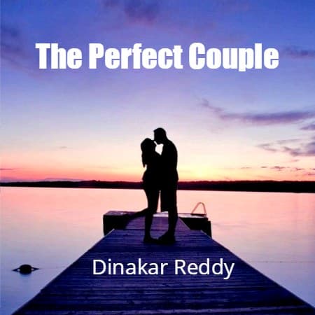 Cover for The Perfect Couple