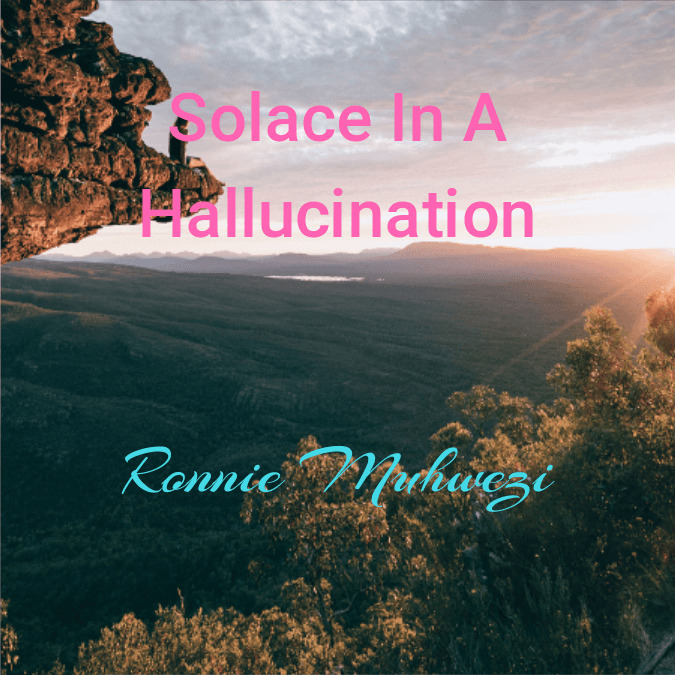 Cover for Solace In A Hallucination