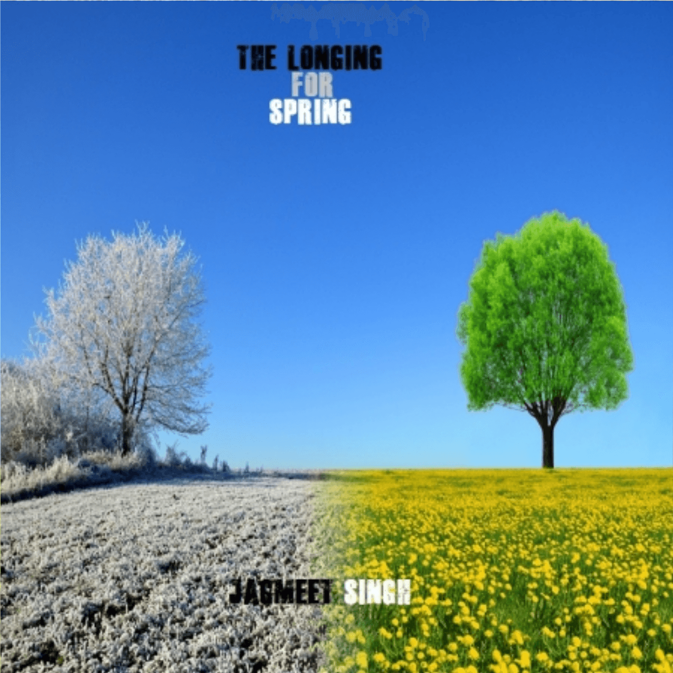 Cover for The Longing for Spring