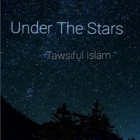 Cover for Under The Stars