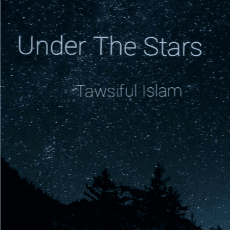 Cover for Under The Stars