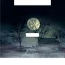 Story Cover Image