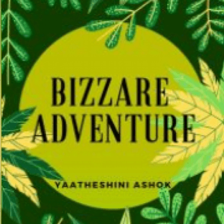 Cover for Bizzare Adventure