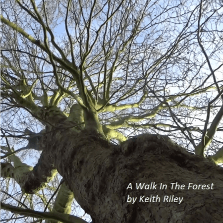 Cover of A Walk In The Forest by Keith Riley