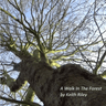 Story Cover Image