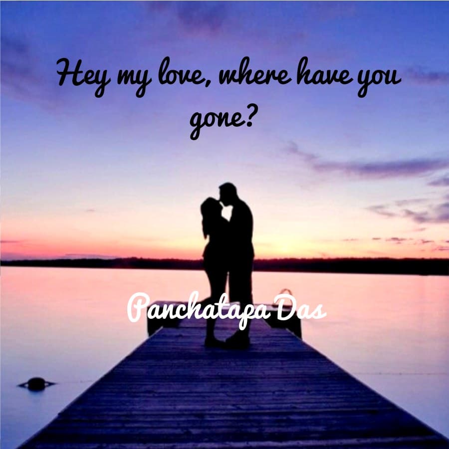 Cover for Hey my love, where have you gone?