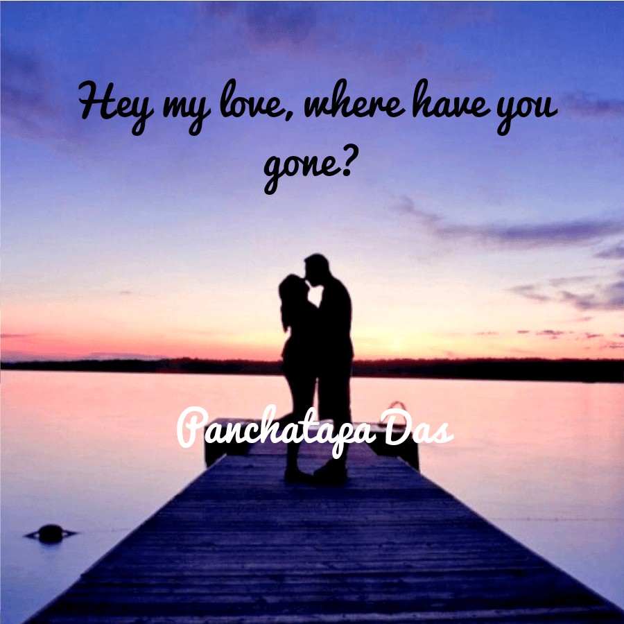 Cover for Hey my love, where have you gone?
