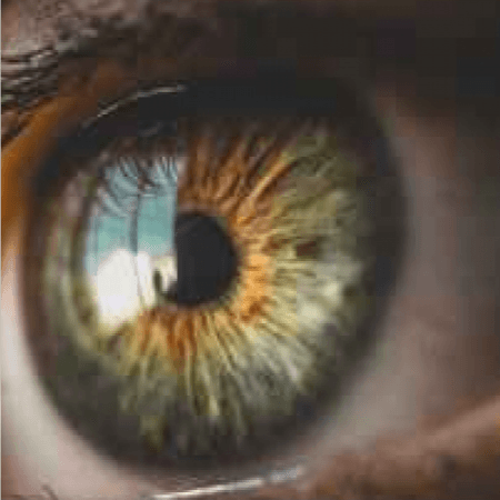 Cover for The Stare