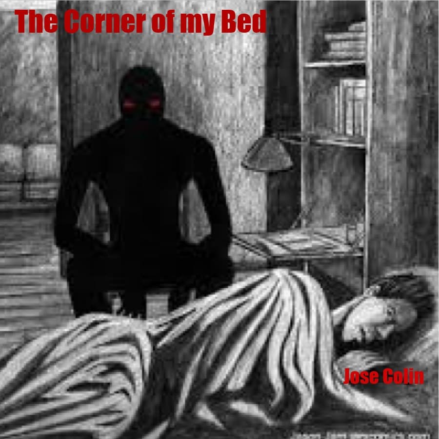 Cover for The Corner of my Bed