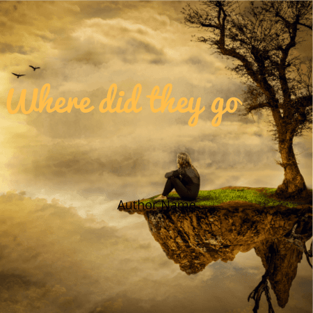 Cover for Where did they go