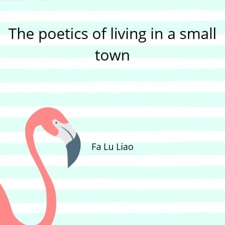 Cover for The poetics of living in a small town