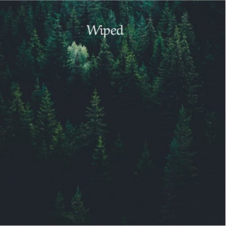 Cover for Wiped