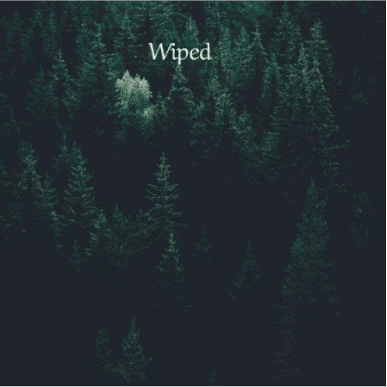 Cover for Wiped