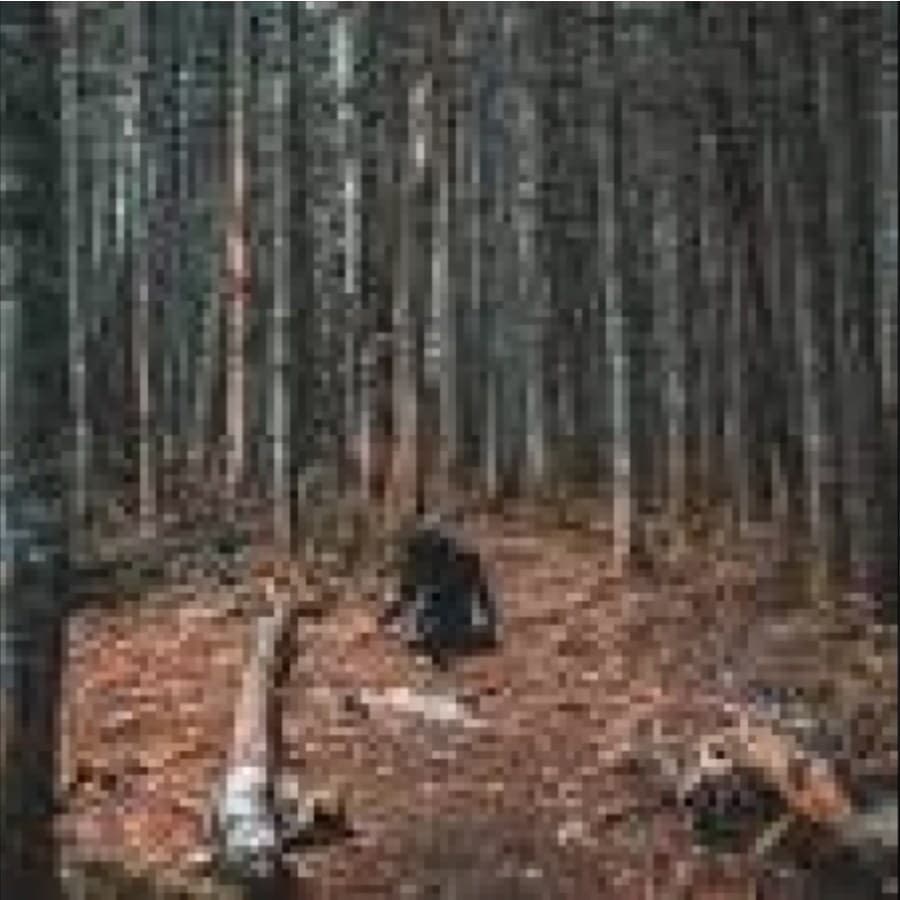 Cover for Into The Woods