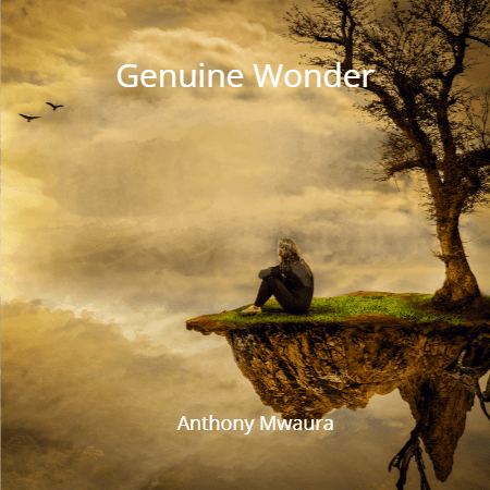 Cover for Genuine Wonder