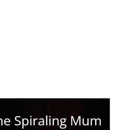 Cover for The Spiraling Mum