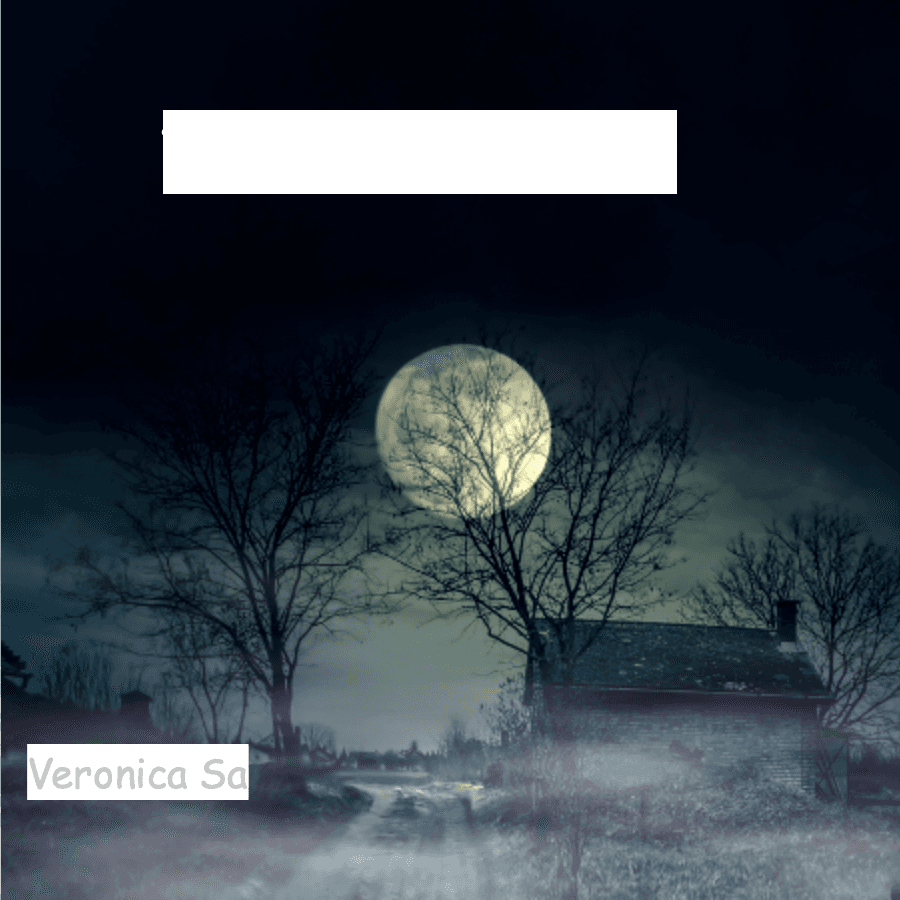 Cover for The Reflection