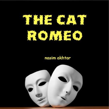 Cover for The Romeo Cat