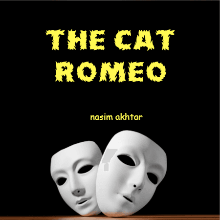 Cover for The Romeo Cat