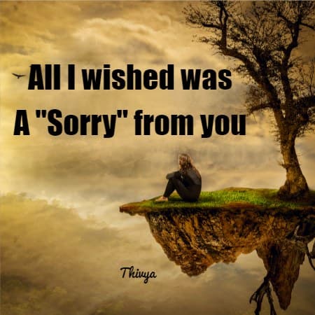 All I Wished was A "Sorry" from you