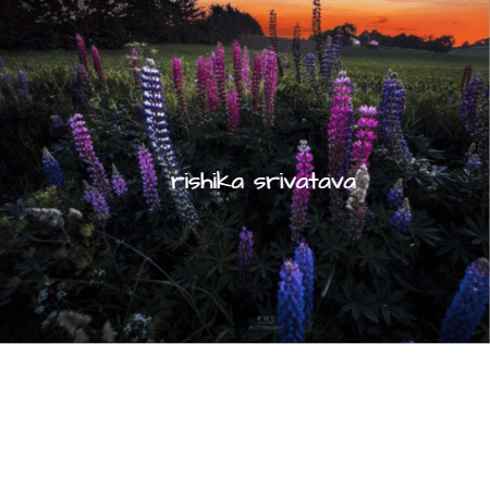 Cover for THE BLANK