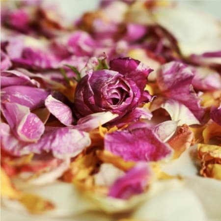 Cover for Our passion is creating wonderful scents for life