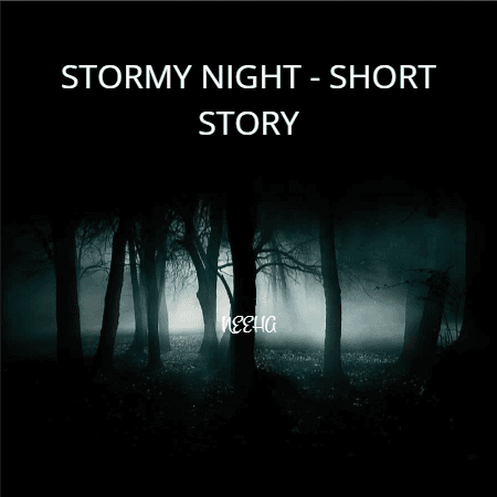 Cover for Stormy Night
