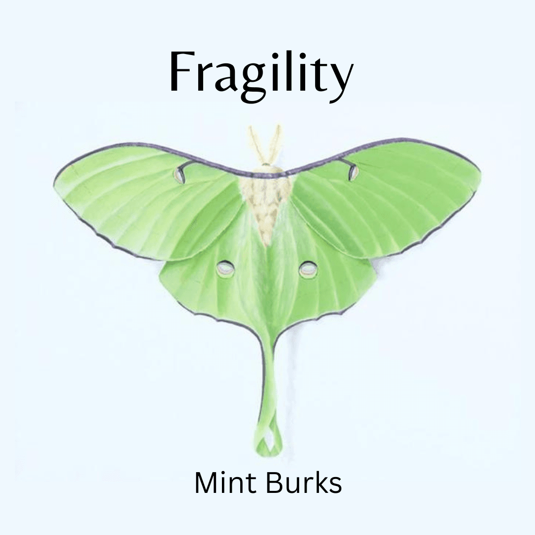 Cover for Fragility