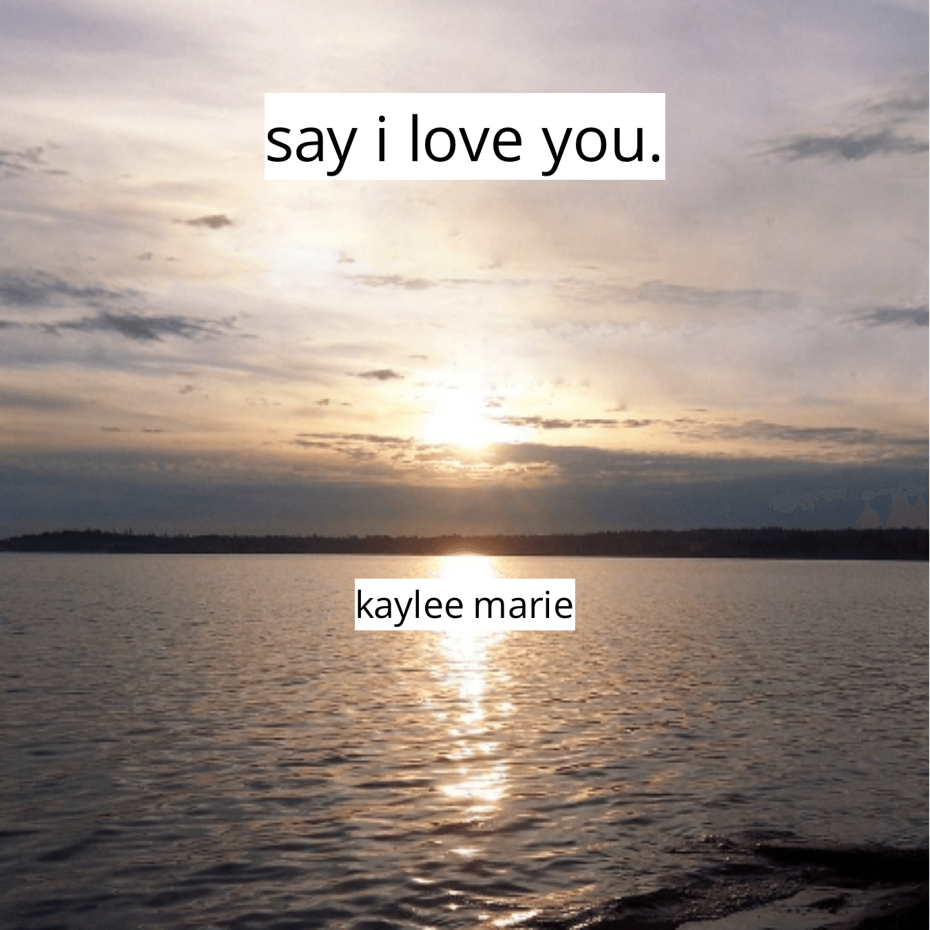 Cover for Say i love you.