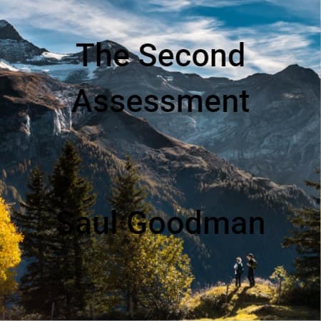 Cover for The Second Assessment