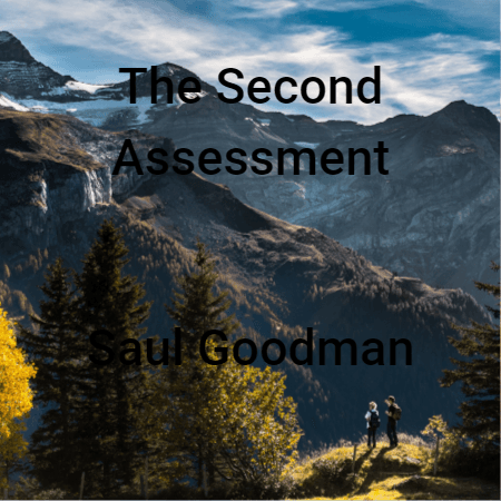 Cover for The Second Assessment
