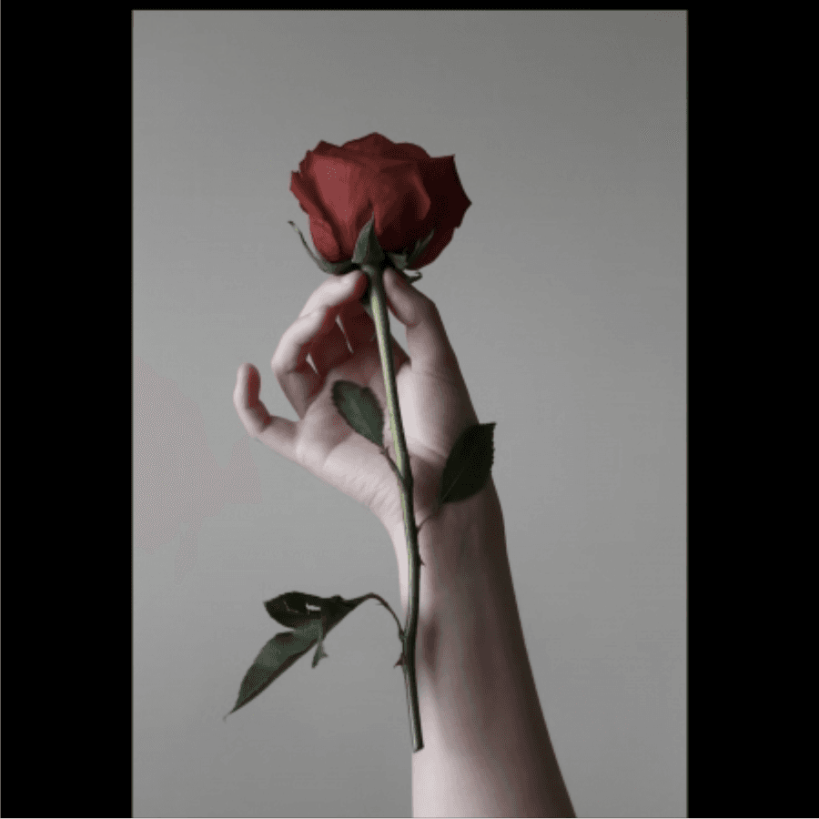 Cover for I am innocent