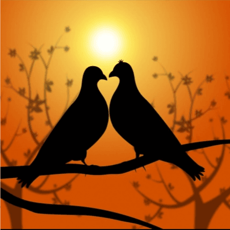 Cover for Love is mind