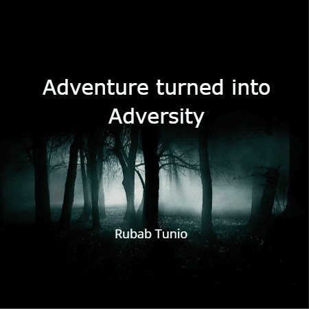 Cover for Adventure turned into Adversity