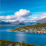 Story Cover Image